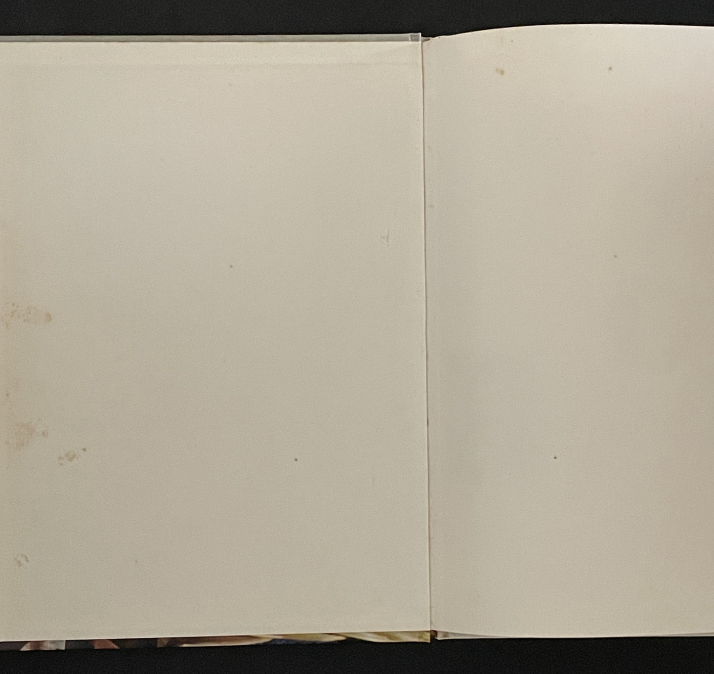 Spin Your Own Wool and Dye it and Weave it by Molly Duncan