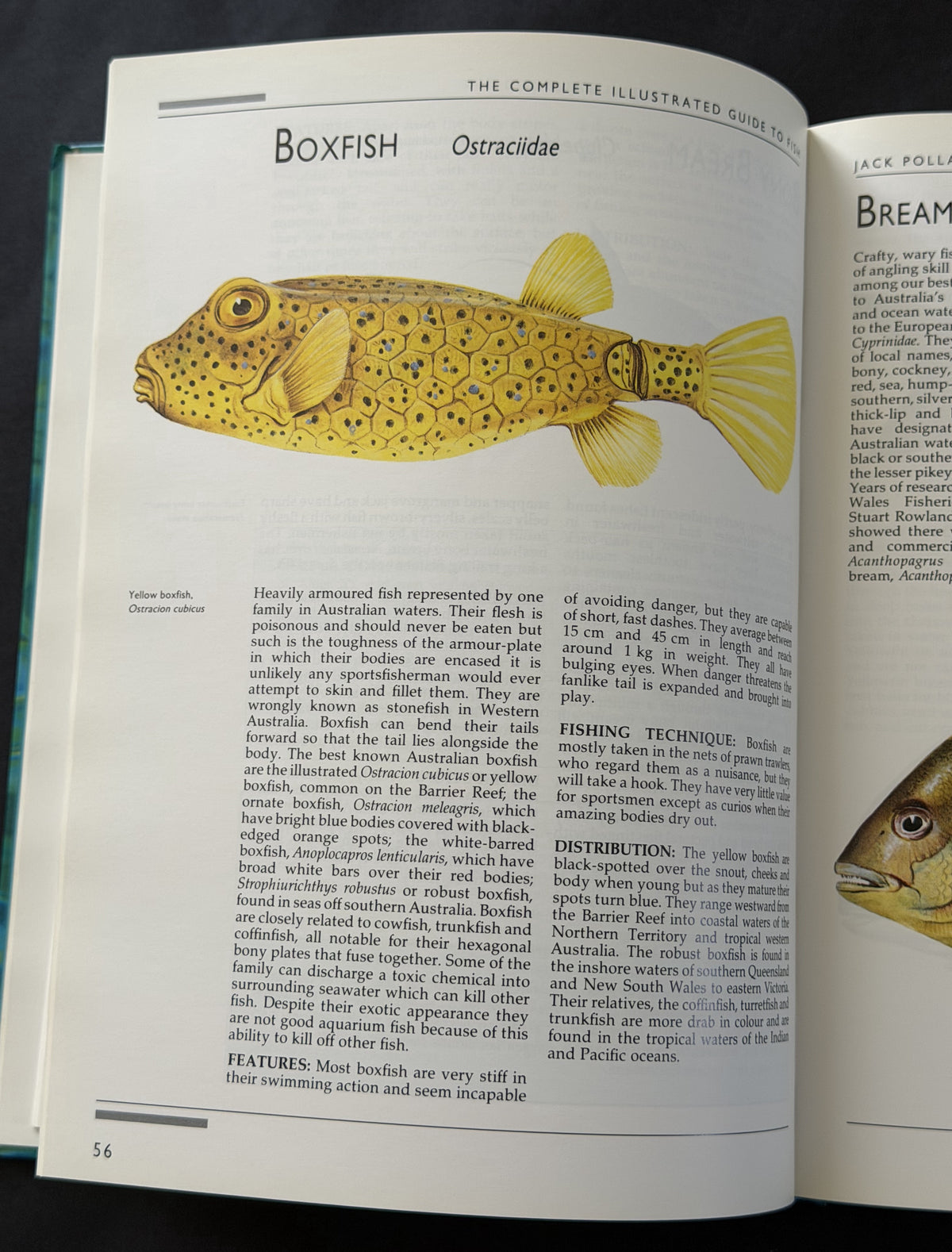 The Complete Illustrated Guide to Fish by Jack Pollard