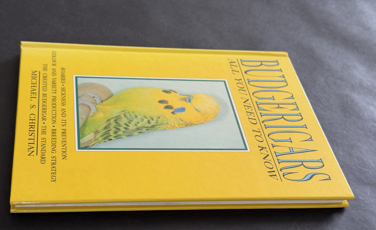 Budgerigars by Michael S. Christian