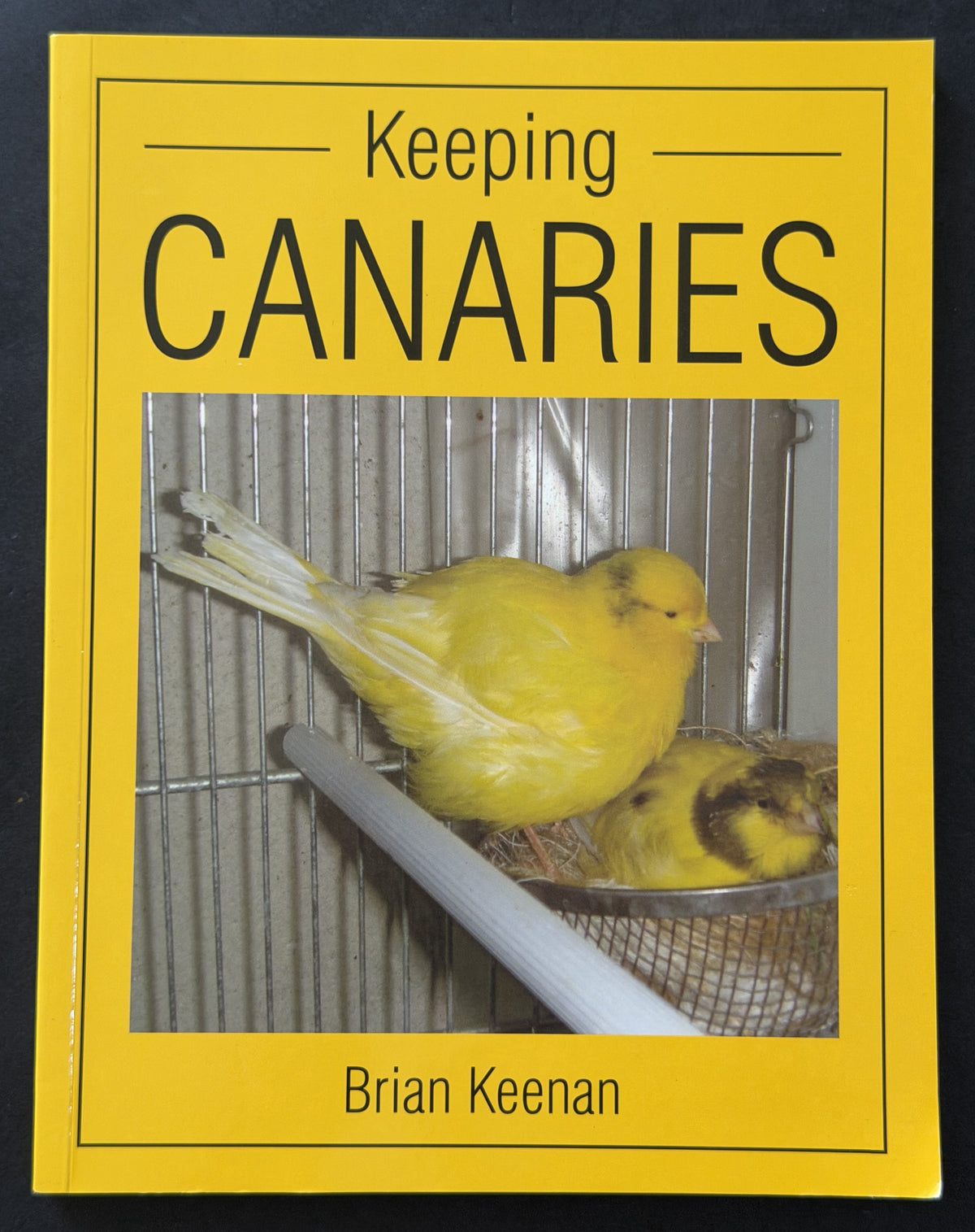 Keeping canaries by Brian Keenan