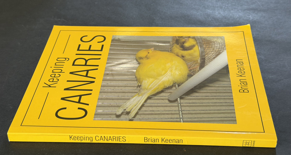 Keeping canaries by Brian Keenan
