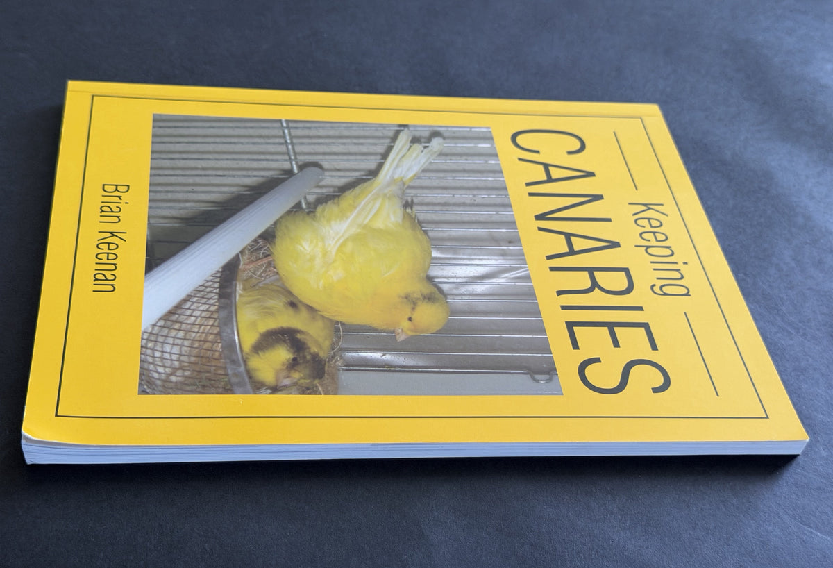 Keeping canaries by Brian Keenan