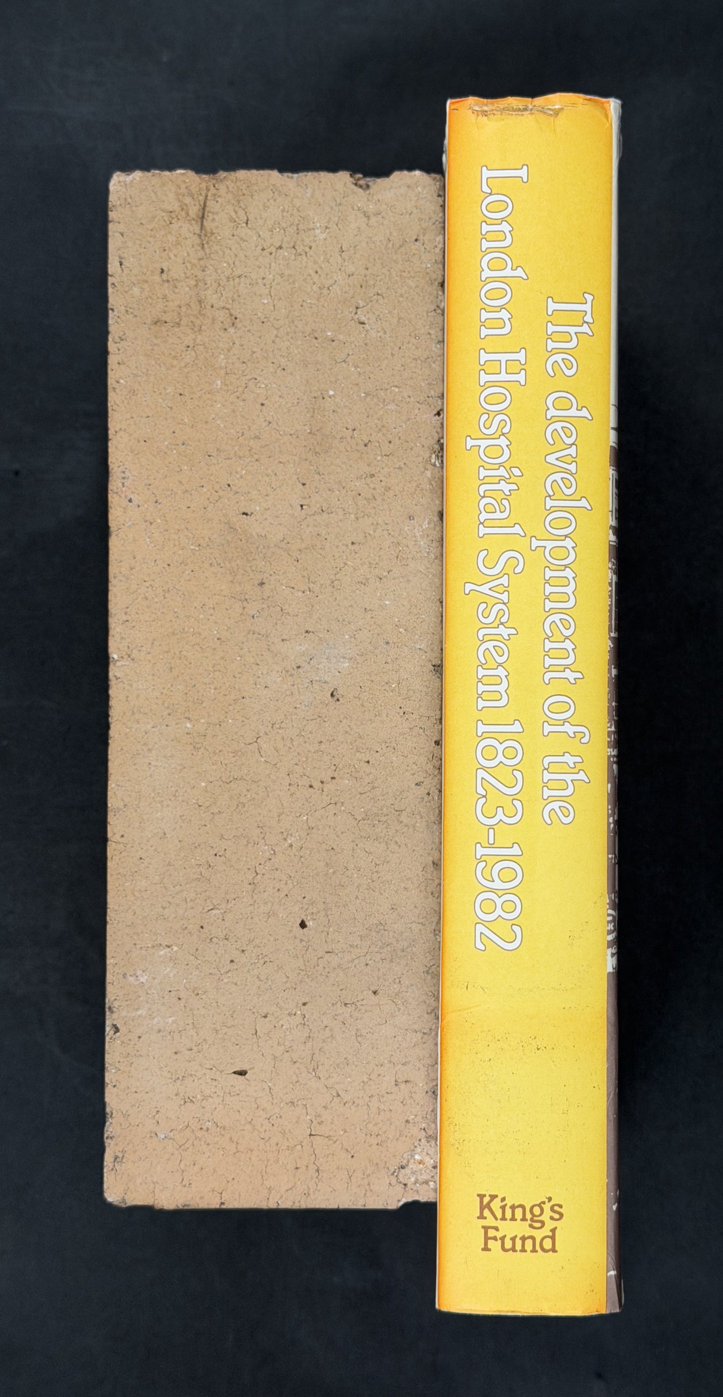 The Development of the London Hospital System, 1823-1982 by Geoffrey Rivett