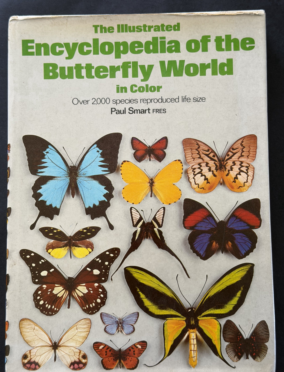 The illustrated encyclopedia of the butterfly world (A Salamander book)