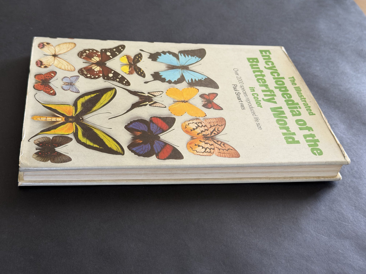 The illustrated encyclopedia of the butterfly world (A Salamander book)