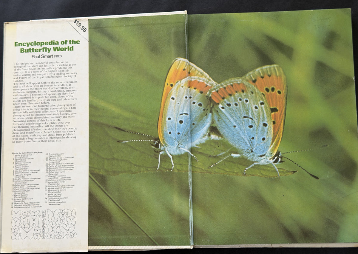 The illustrated encyclopedia of the butterfly world (A Salamander book)