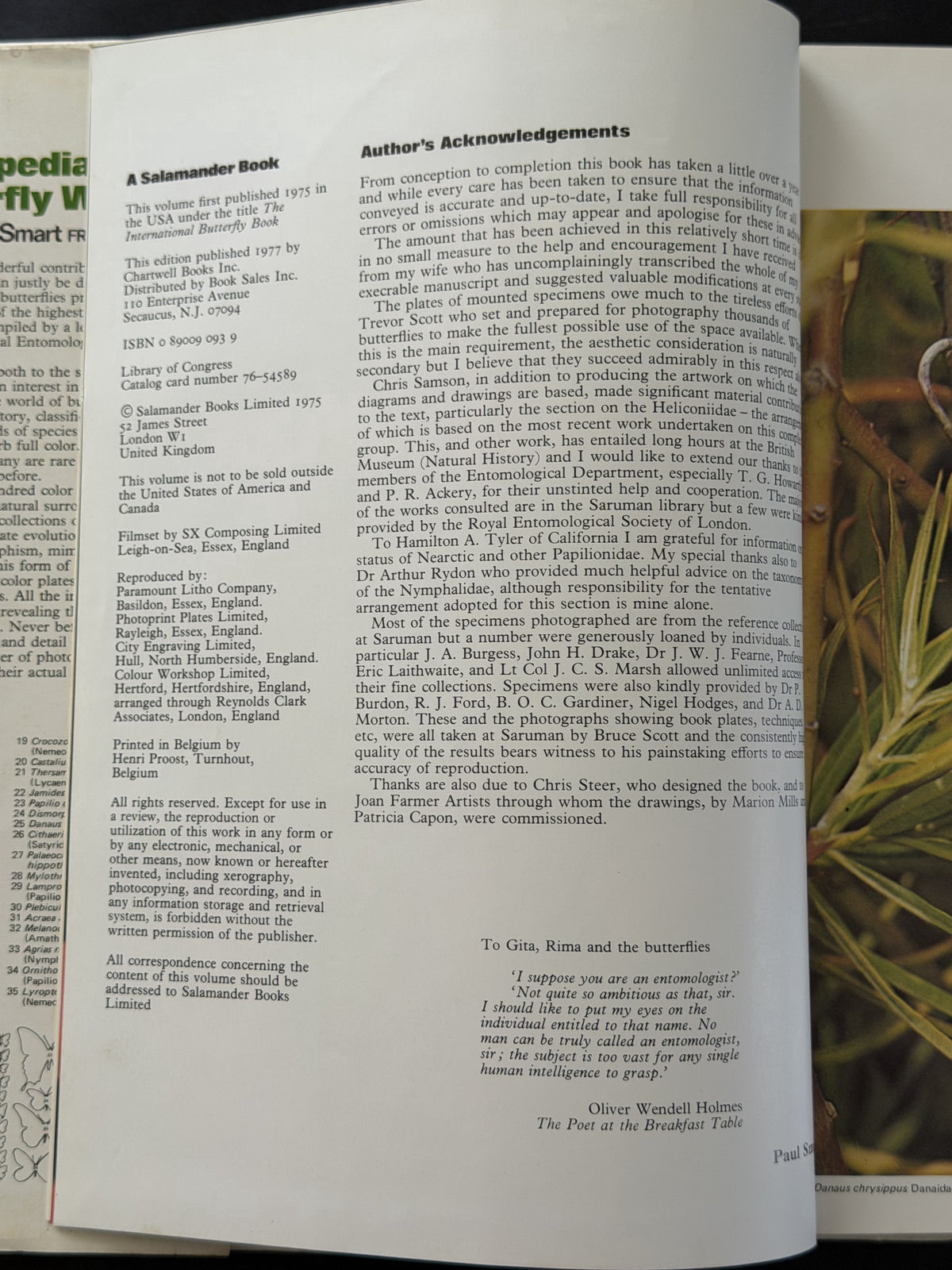 The illustrated encyclopedia of the butterfly world (A Salamander book)