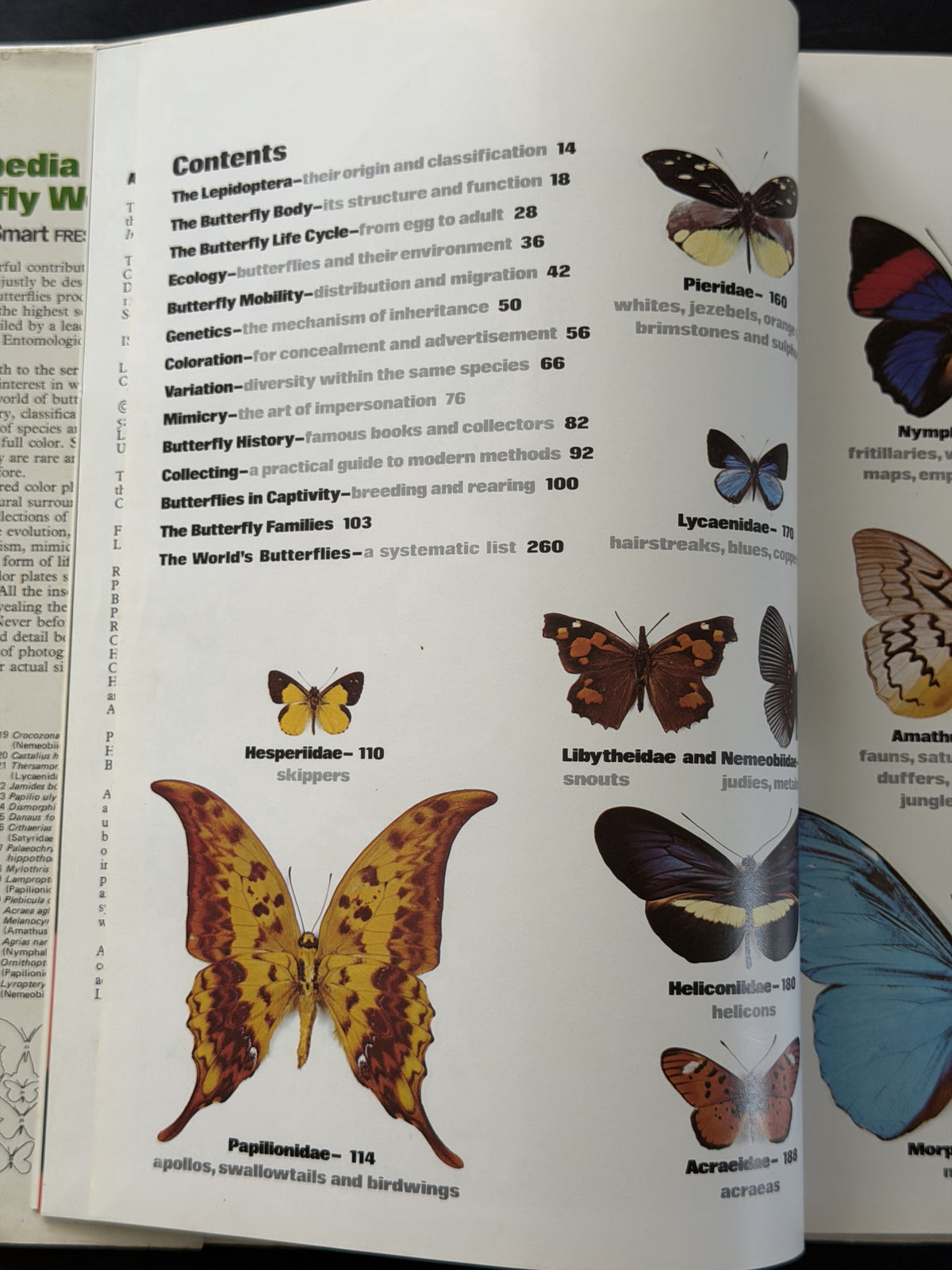 The illustrated encyclopedia of the butterfly world (A Salamander book)
