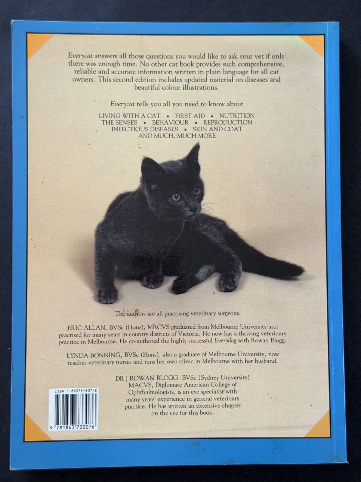 Everycat by Eric Allan, Lynda Bonning