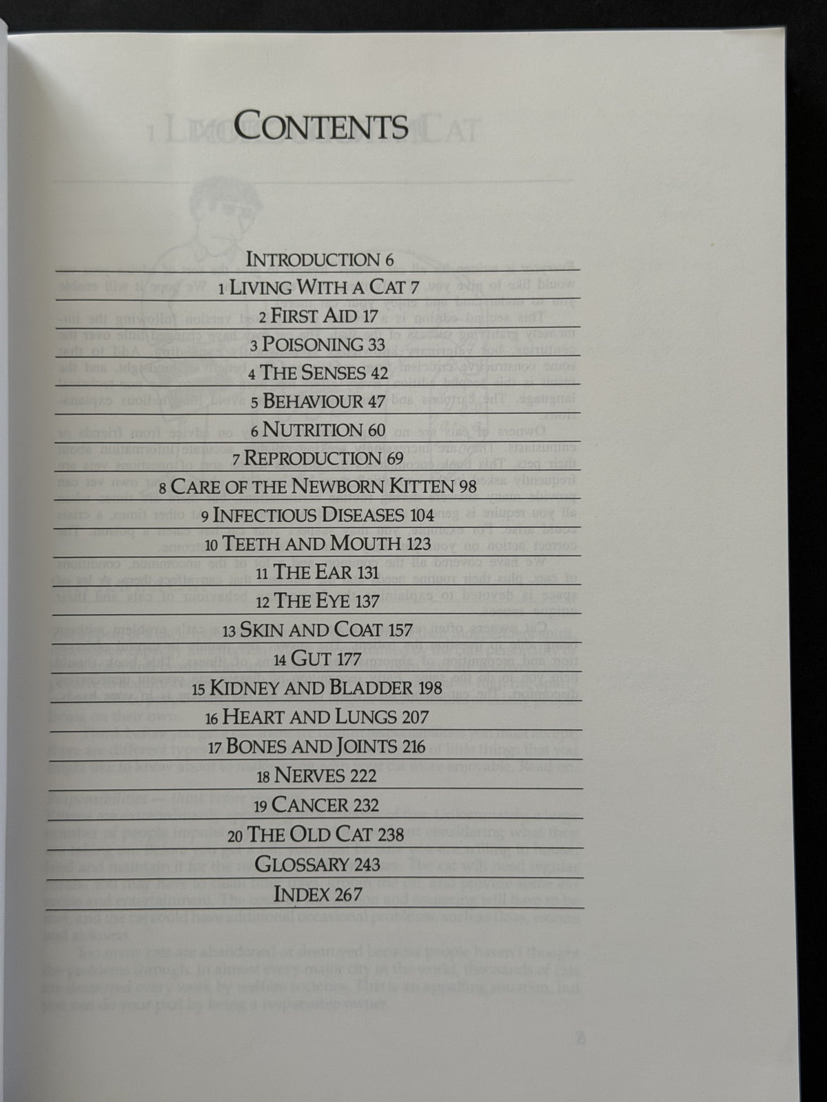 Everycat by Eric Allan, Lynda Bonning