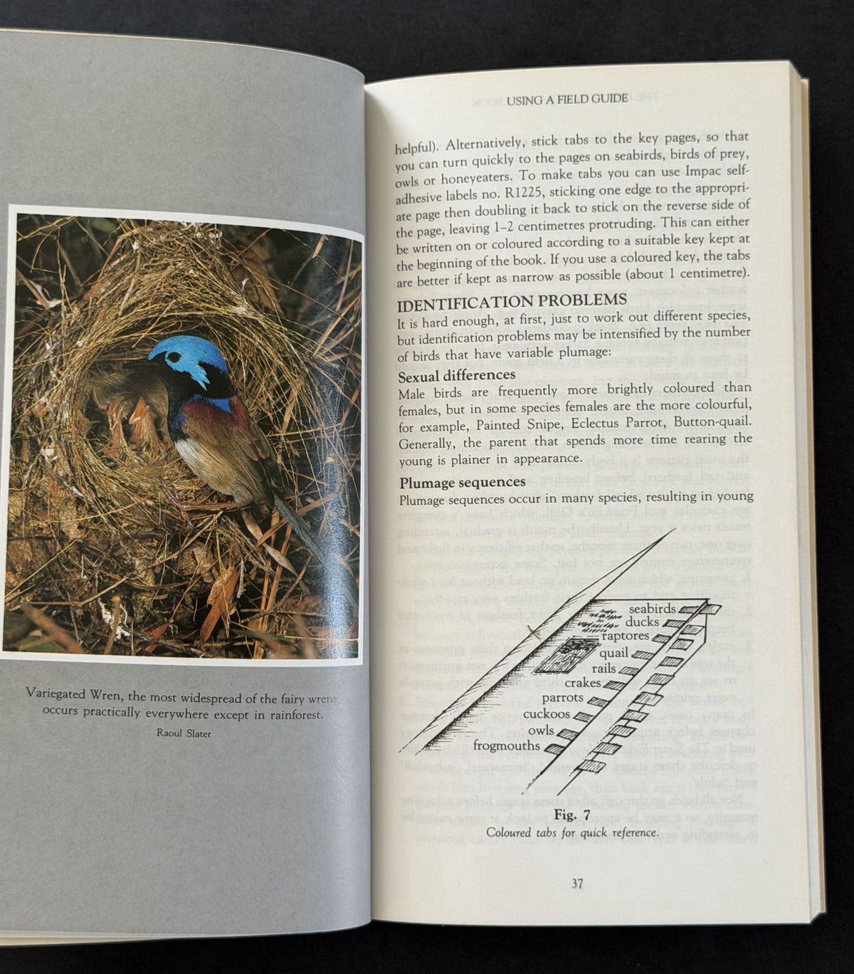 The Birdwatcher’s Notebook by Peter Slater