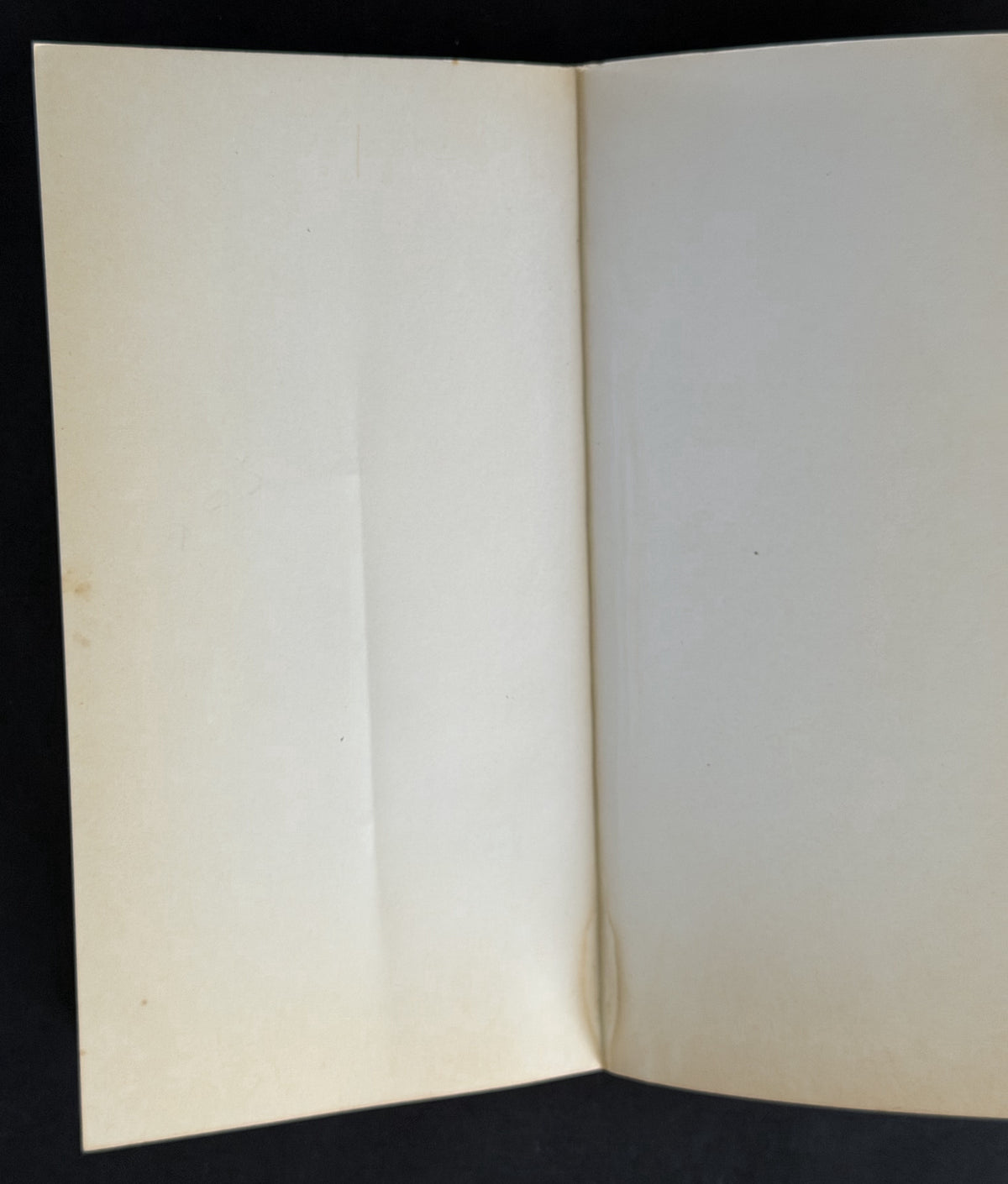 The Birdwatcher’s Notebook by Peter Slater