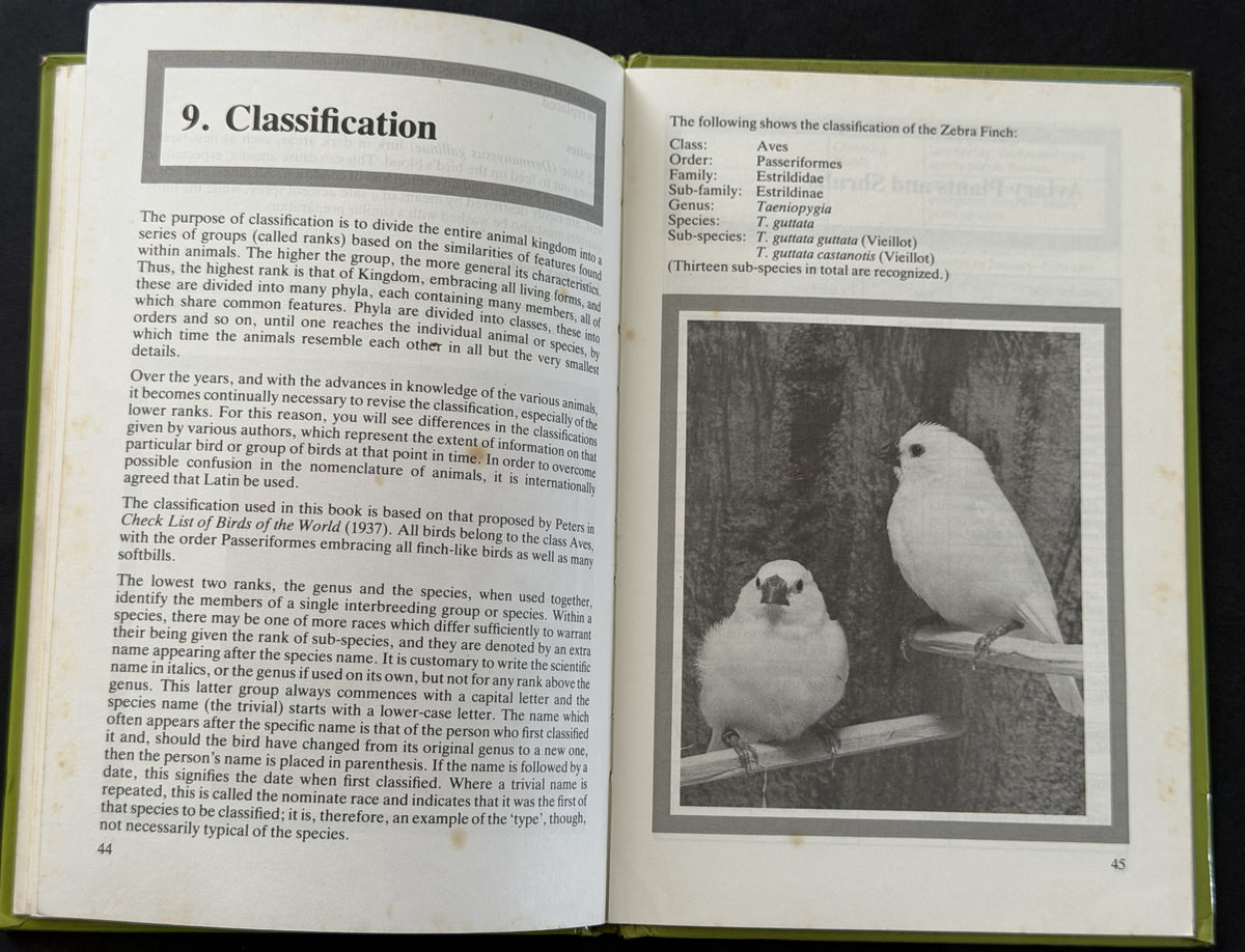 Beginner's guide to zebra finches by David Alderton