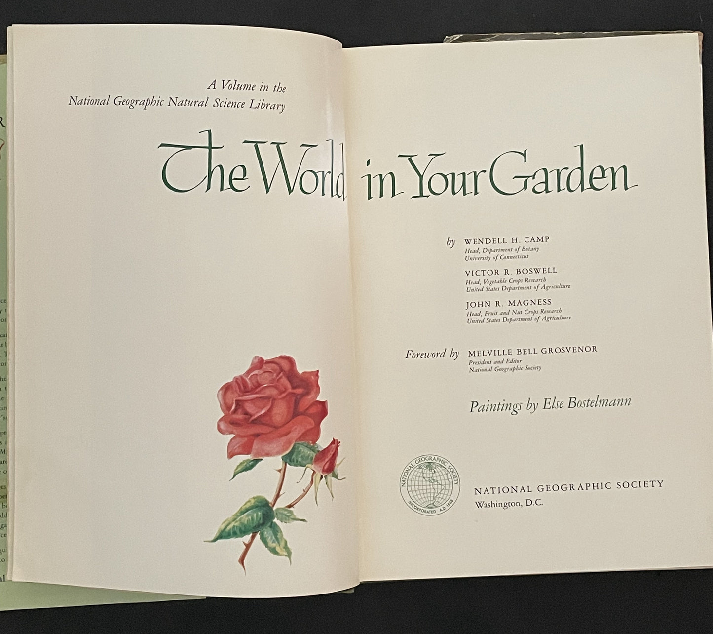 The World in Your Garden by Wendell H. Camp, Victor R. Boswell, and John R. Magness