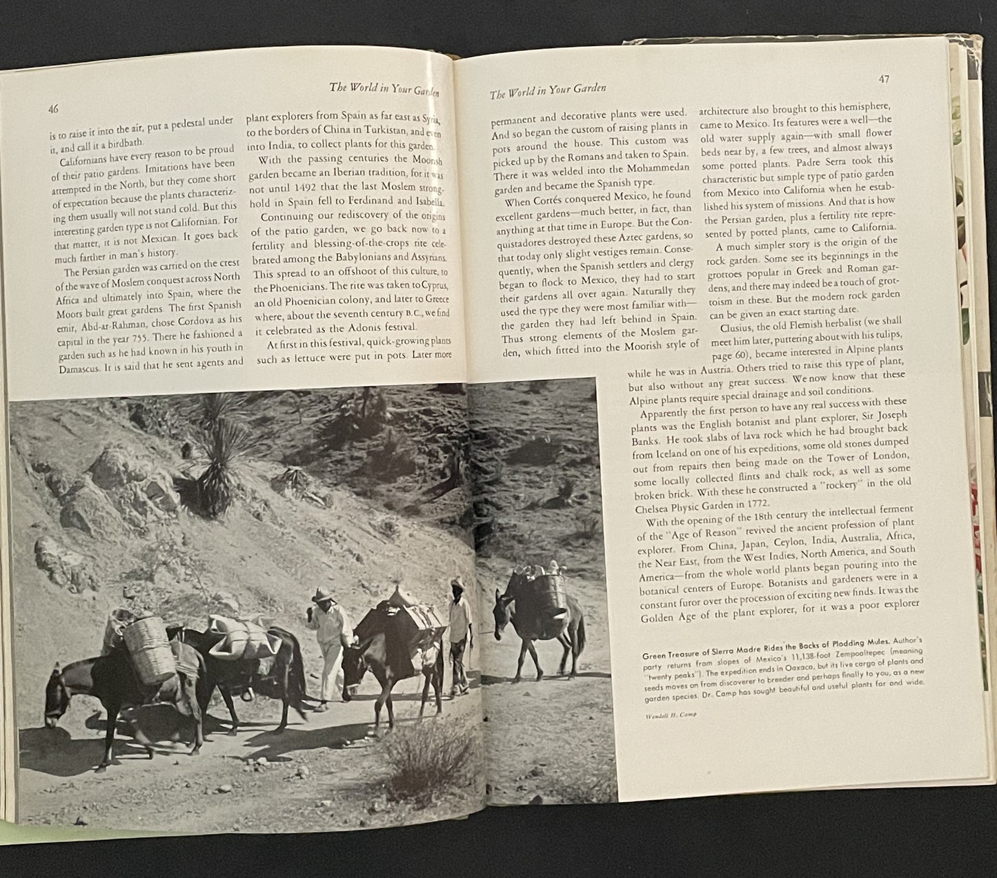 The World in Your Garden by Wendell H. Camp, Victor R. Boswell, and John R. Magness