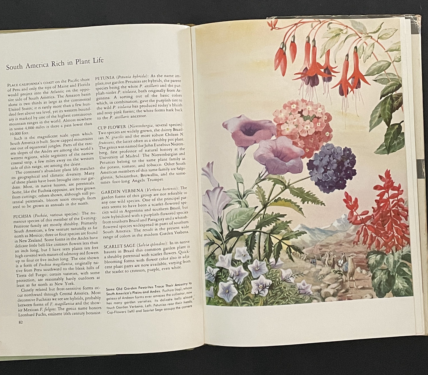 The World in Your Garden by Wendell H. Camp, Victor R. Boswell, and John R. Magness