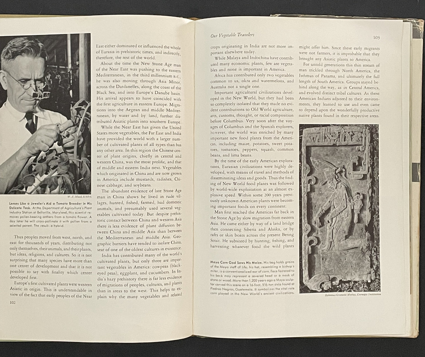 The World in Your Garden by Wendell H. Camp, Victor R. Boswell, and John R. Magness