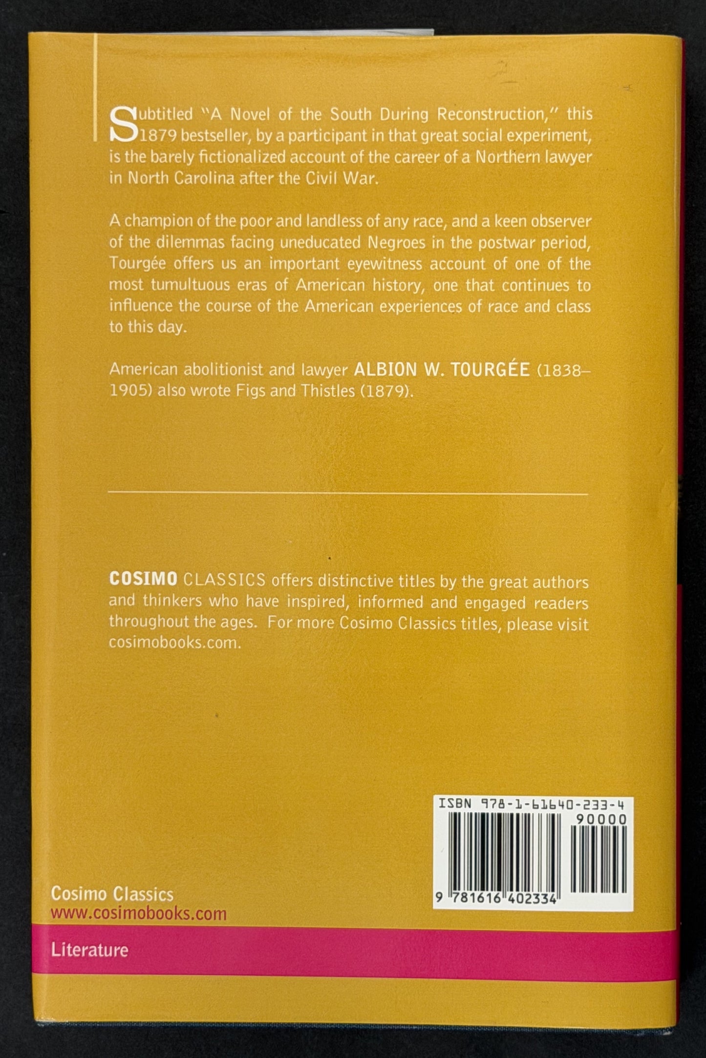 A Fool's Errand: A Novel of the South During Reconstruction by Albion W. Tourgée