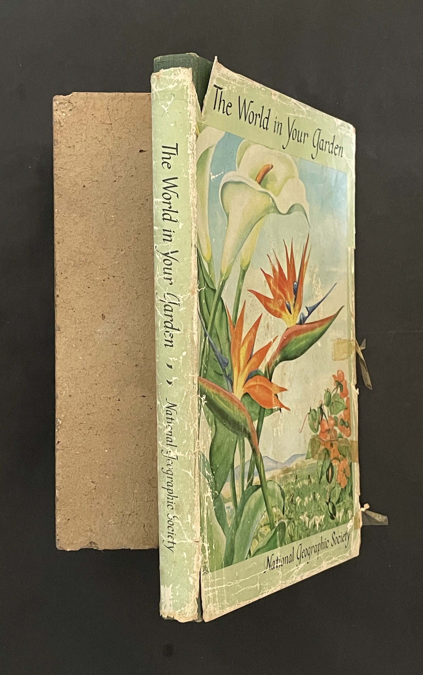The World in Your Garden by Wendell H. Camp, Victor R. Boswell, and John R. Magness