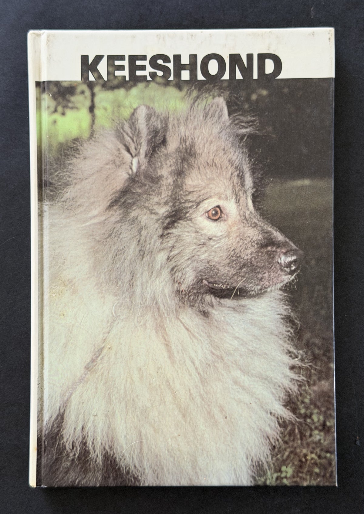 Keeshond by Martin Weil