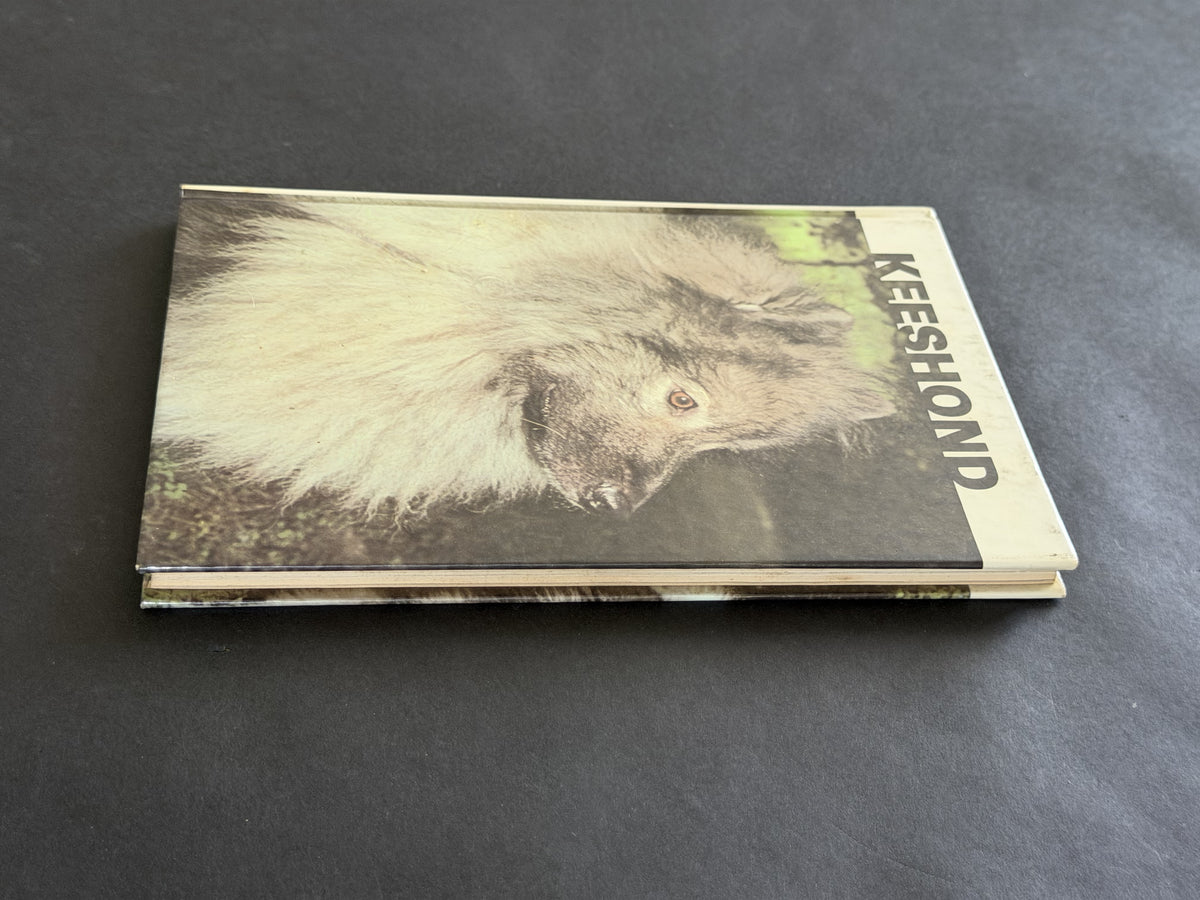 Keeshond by Martin Weil