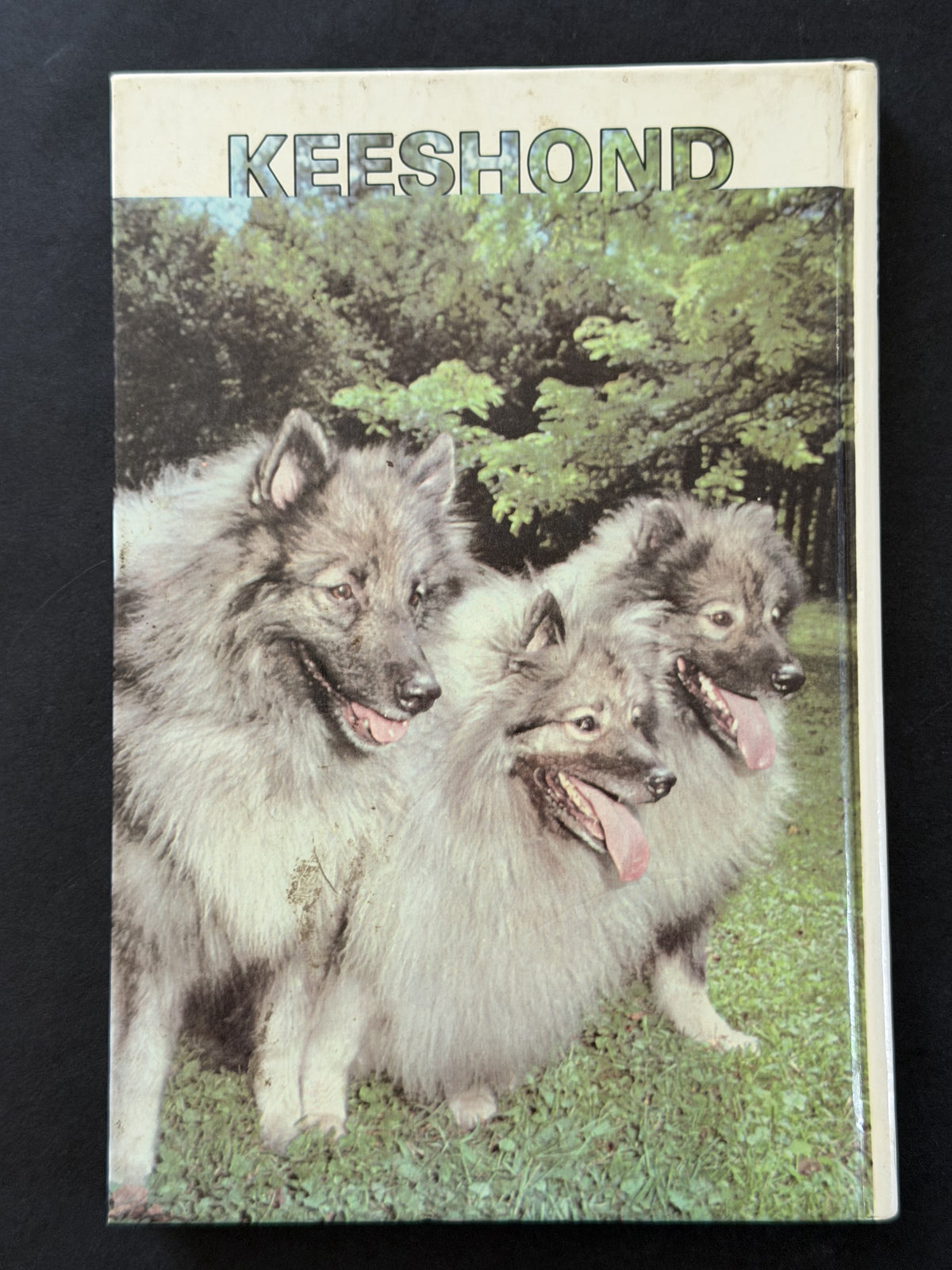 Keeshond by Martin Weil