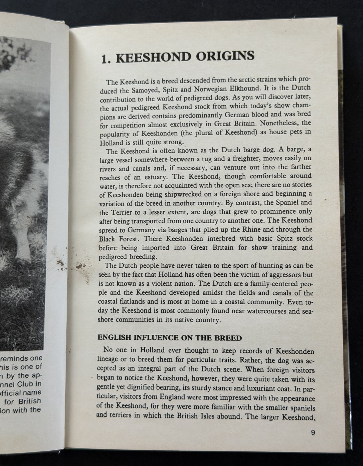 Keeshond by Martin Weil