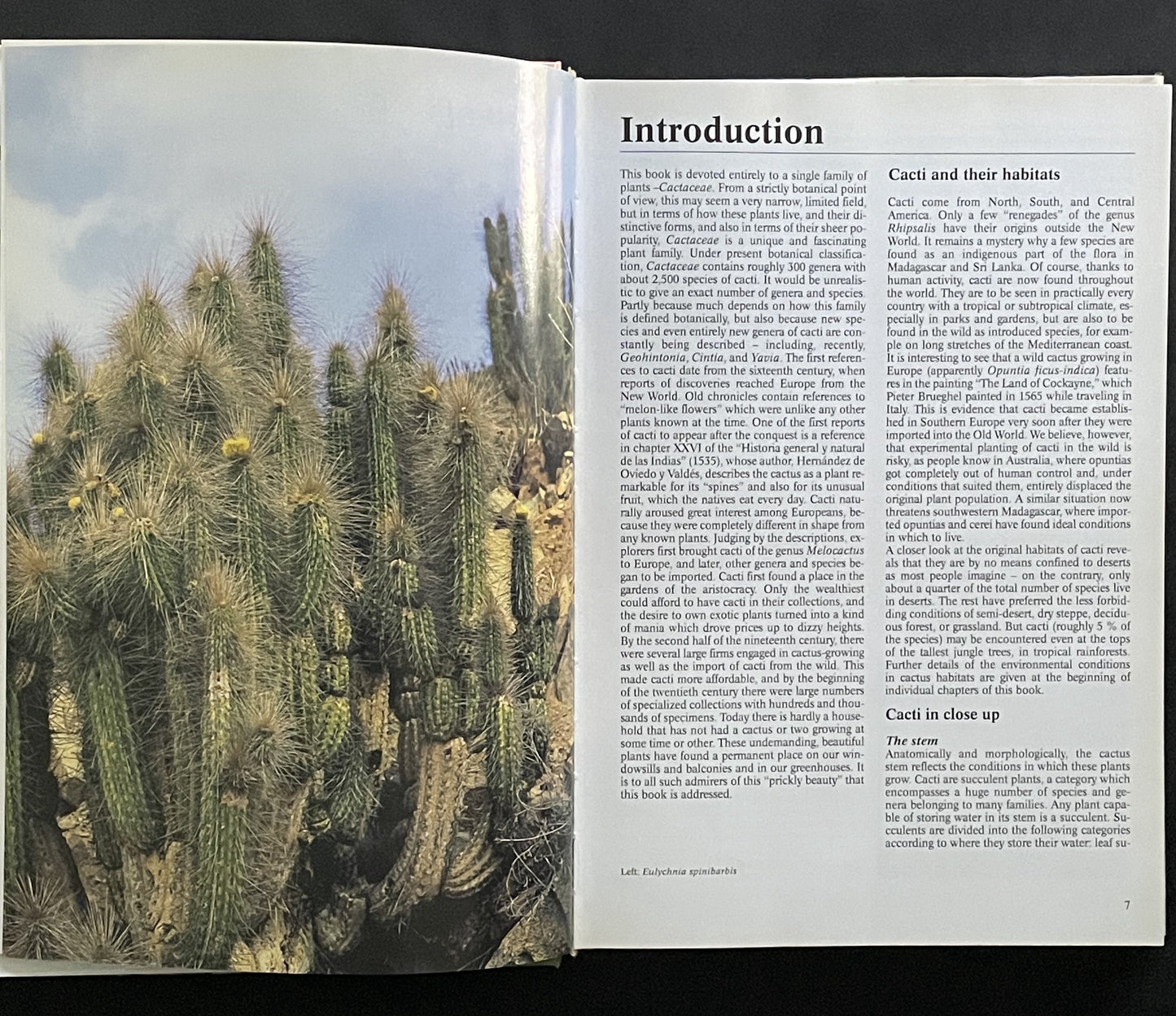 The Complete Encyclopedia of Cacti by Libor Kunte, Rudolf Subik