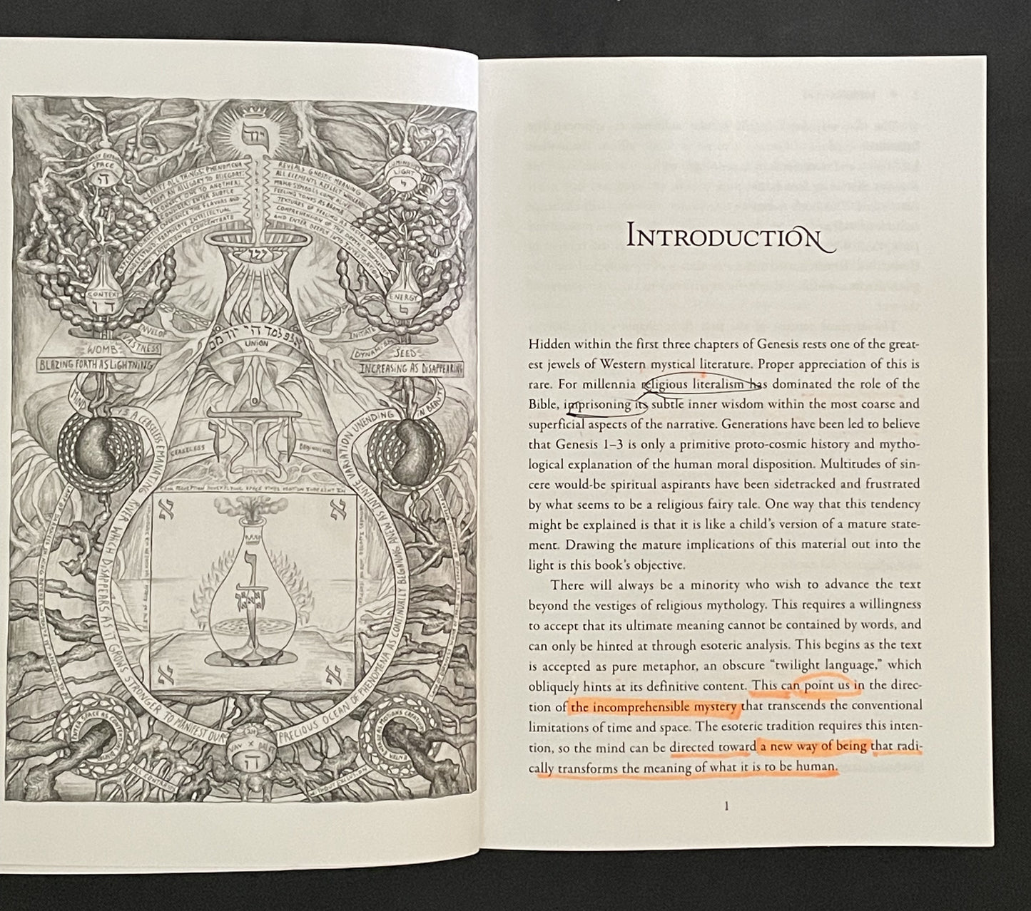 The Kabbalistic Mirror of Genesis by David Chaim Smith