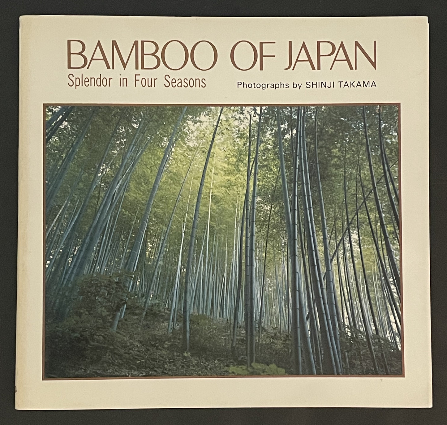Bamboo of Japan