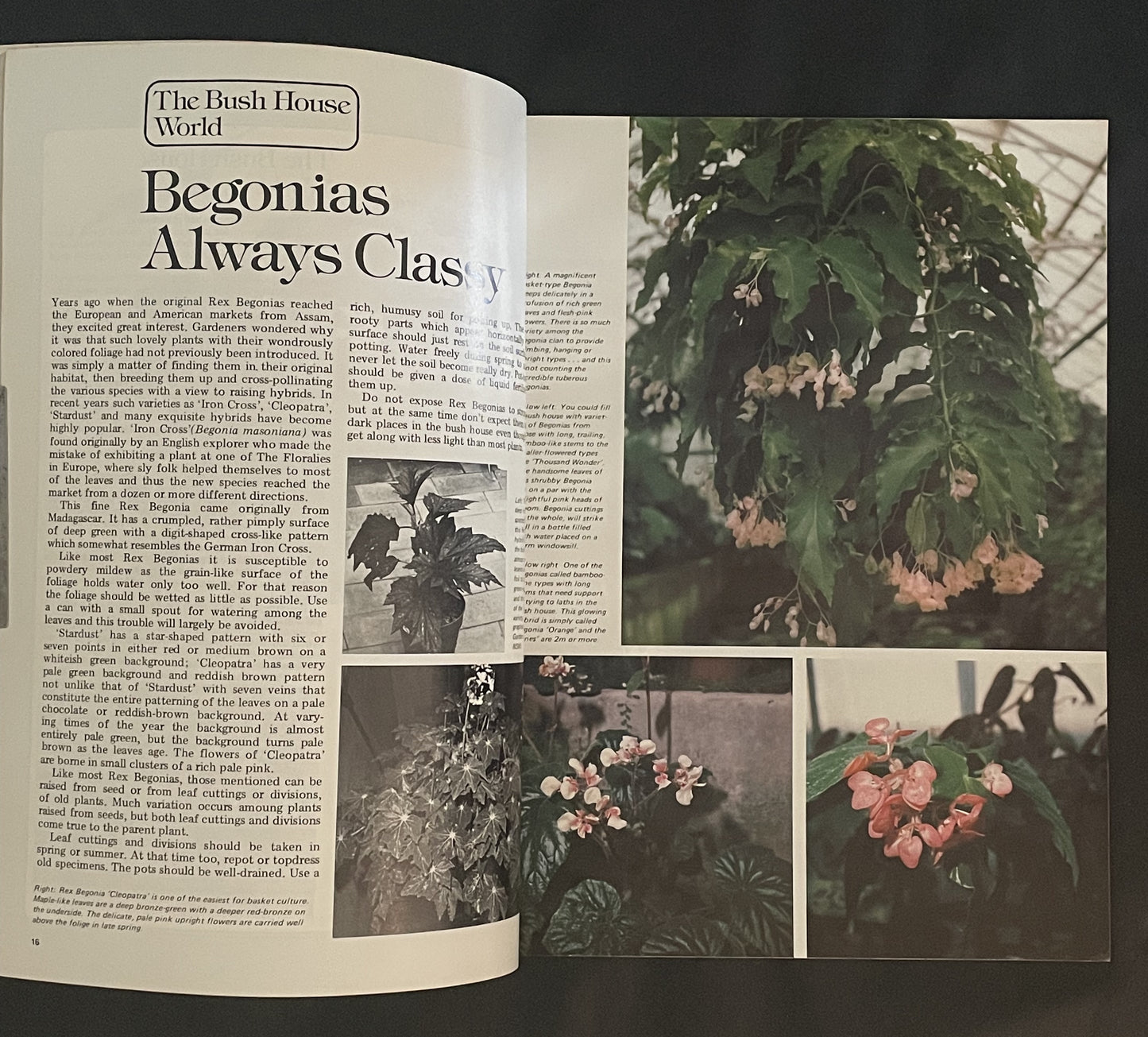 The Pleasures Of Bush & Glasshouses by Beryl Guertner, Rolfe Bradley