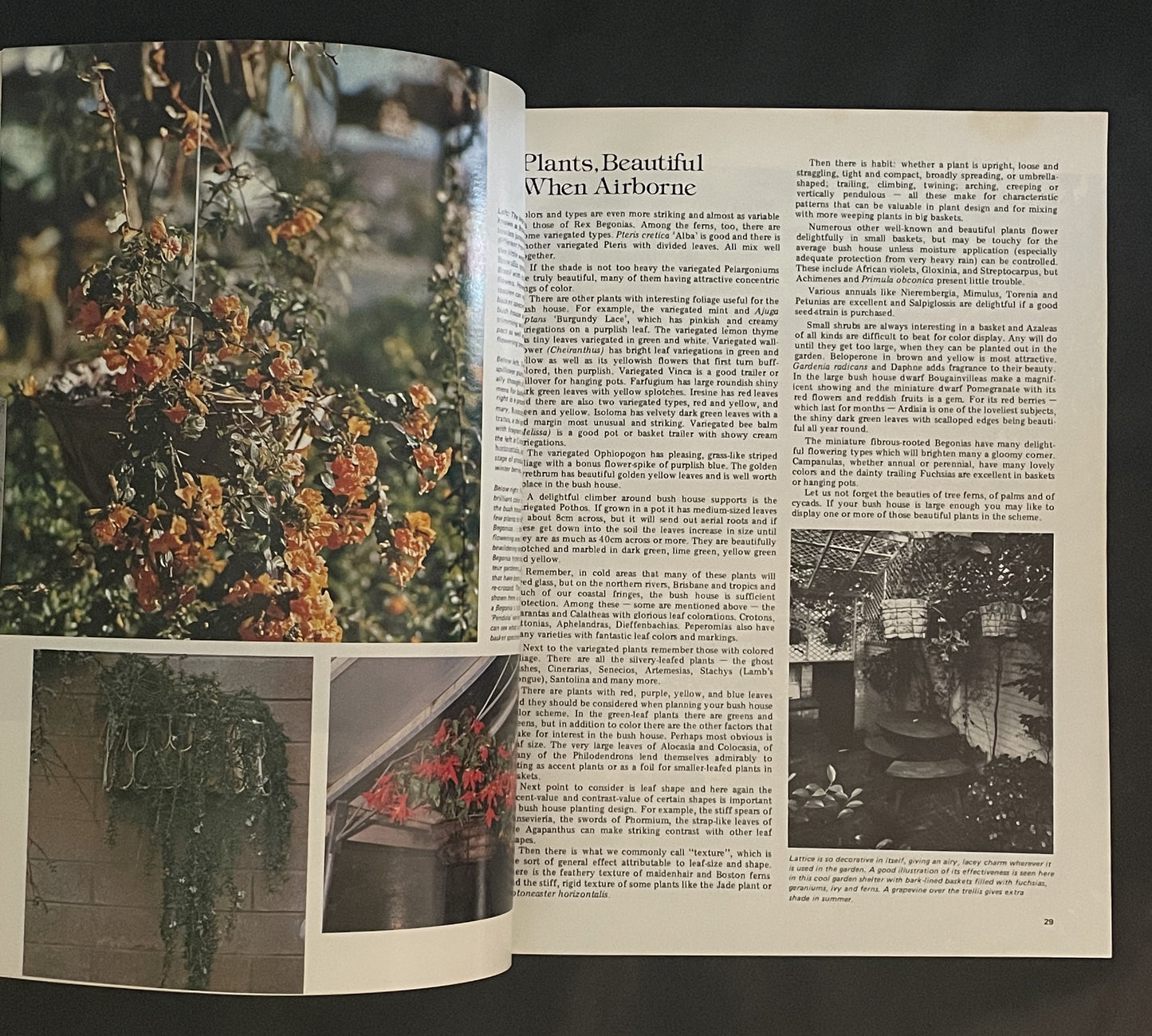 The Pleasures Of Bush & Glasshouses by Beryl Guertner, Rolfe Bradley