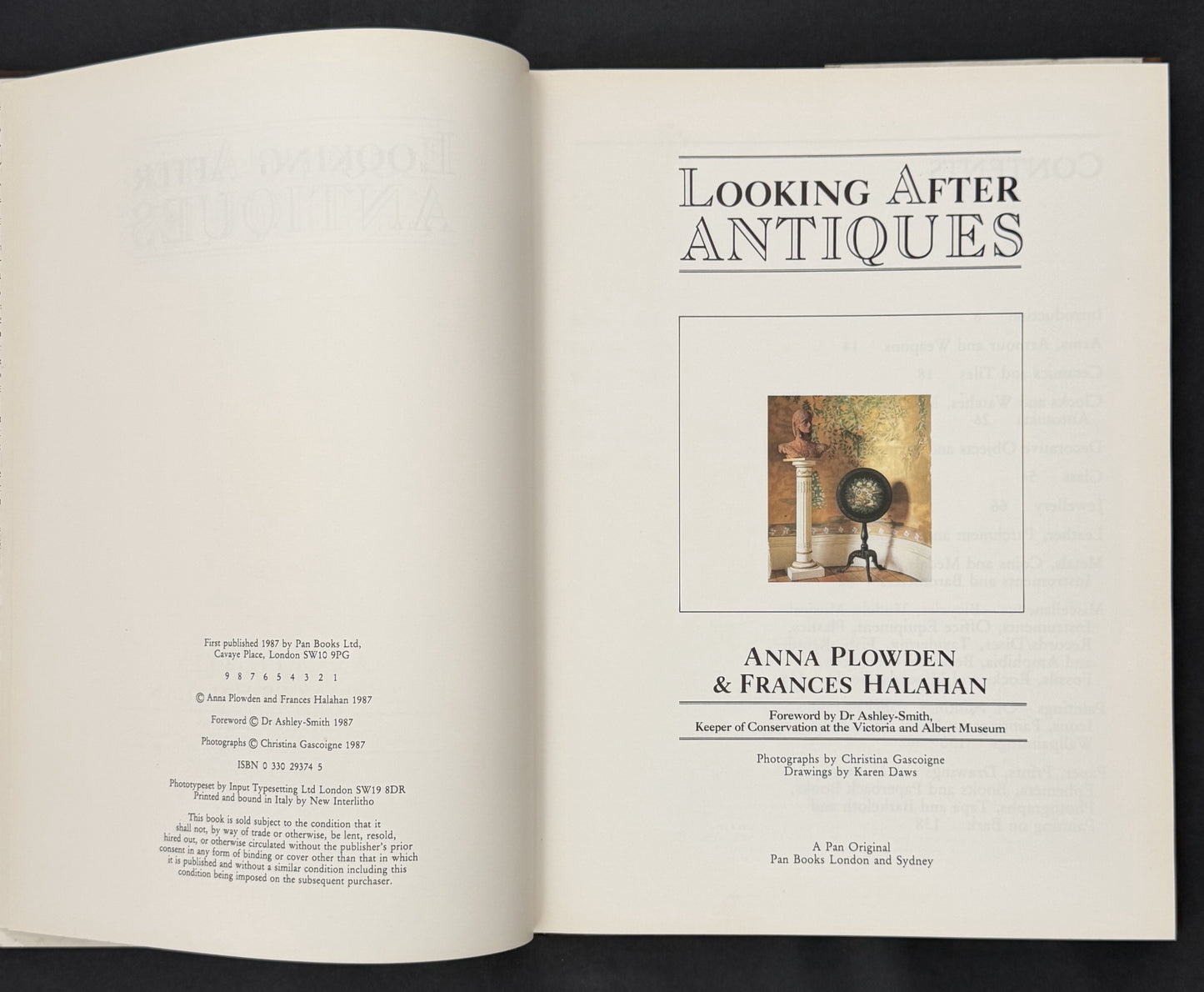 Looking After Antiques by Anna Plowden, Frances Halahan