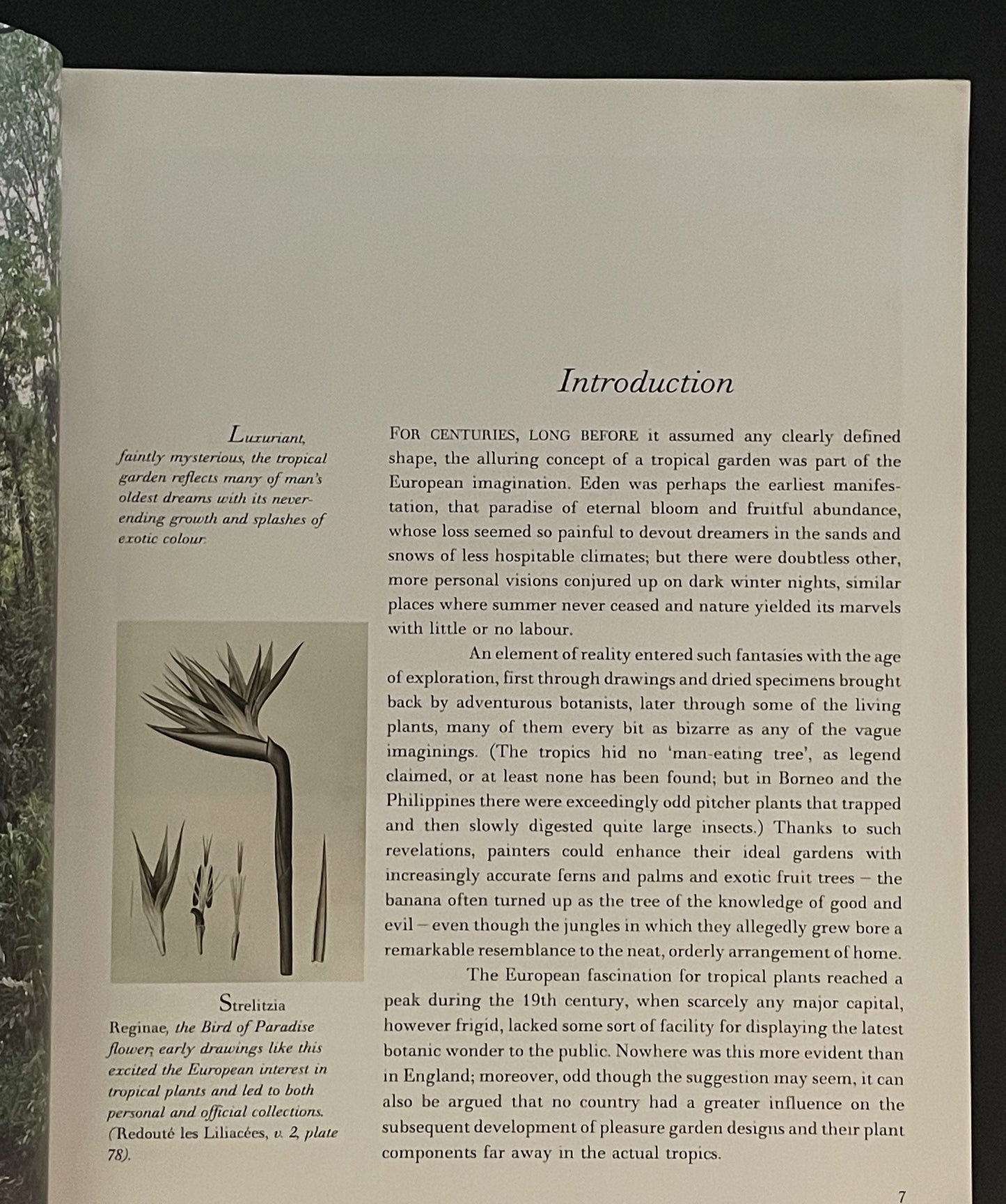 The Tropical Garden by William Warren, Luca Invernizzi Tettoni