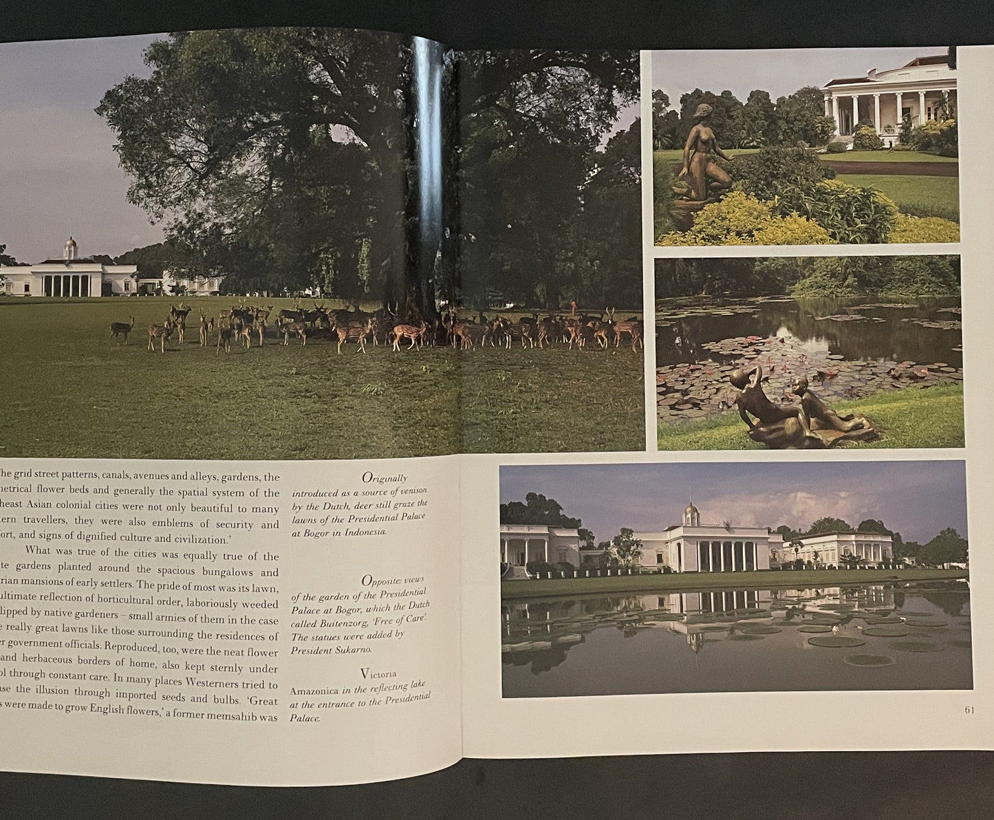 The Tropical Garden by William Warren, Luca Invernizzi Tettoni