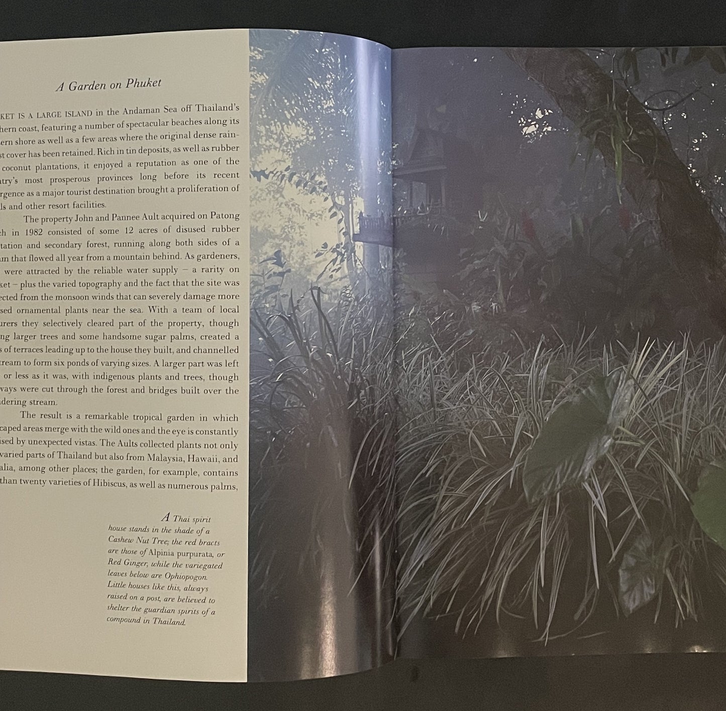 The Tropical Garden by William Warren, Luca Invernizzi Tettoni