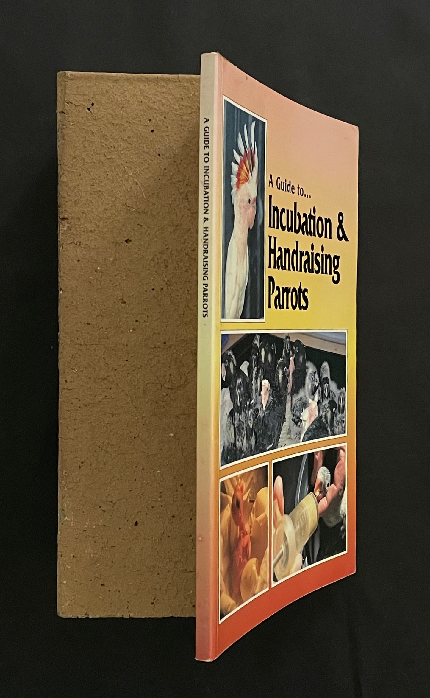 A Guide to Incubation & Handraising Parrots by Phil Digney