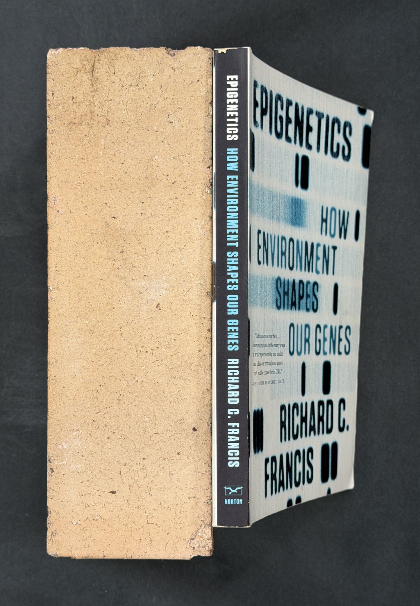 Epigenetics by Richard C Francis