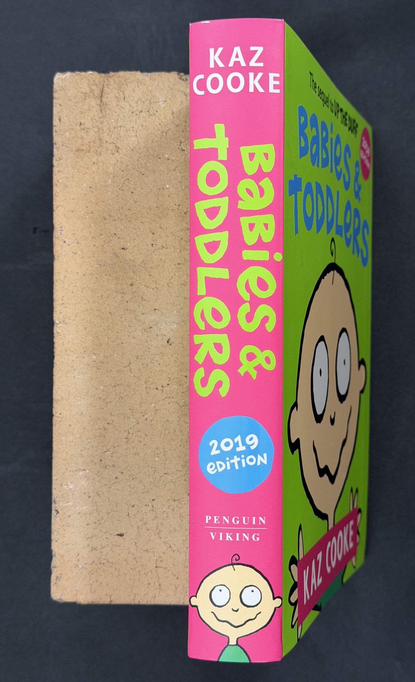 Babies & Toddlers by Kaz Cooke