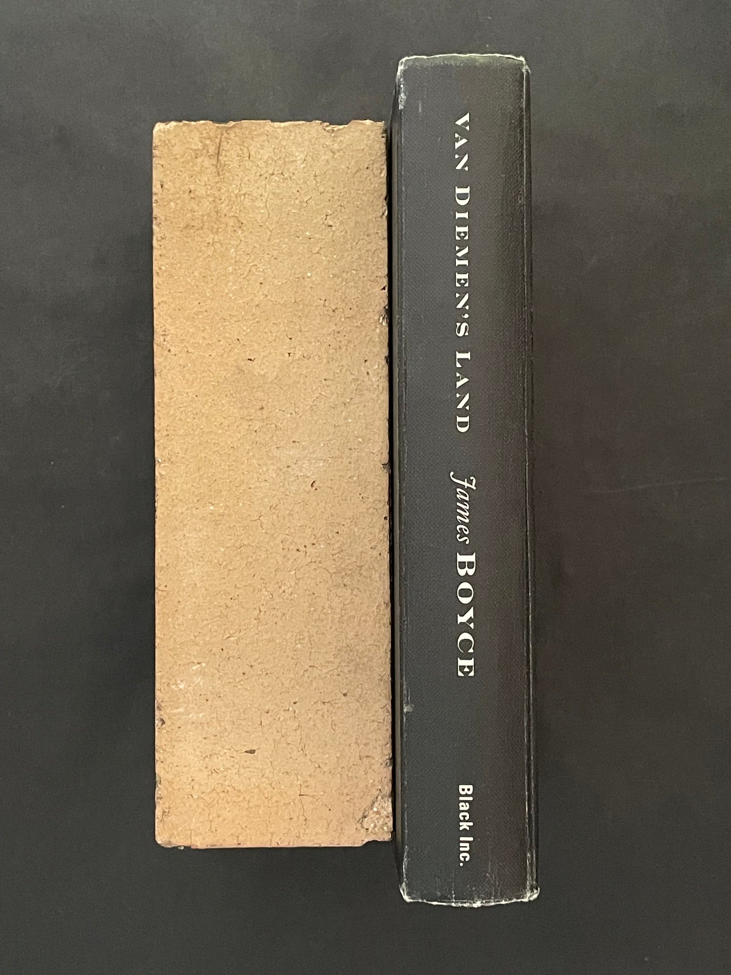 Van Diemen's Land by James Boyce