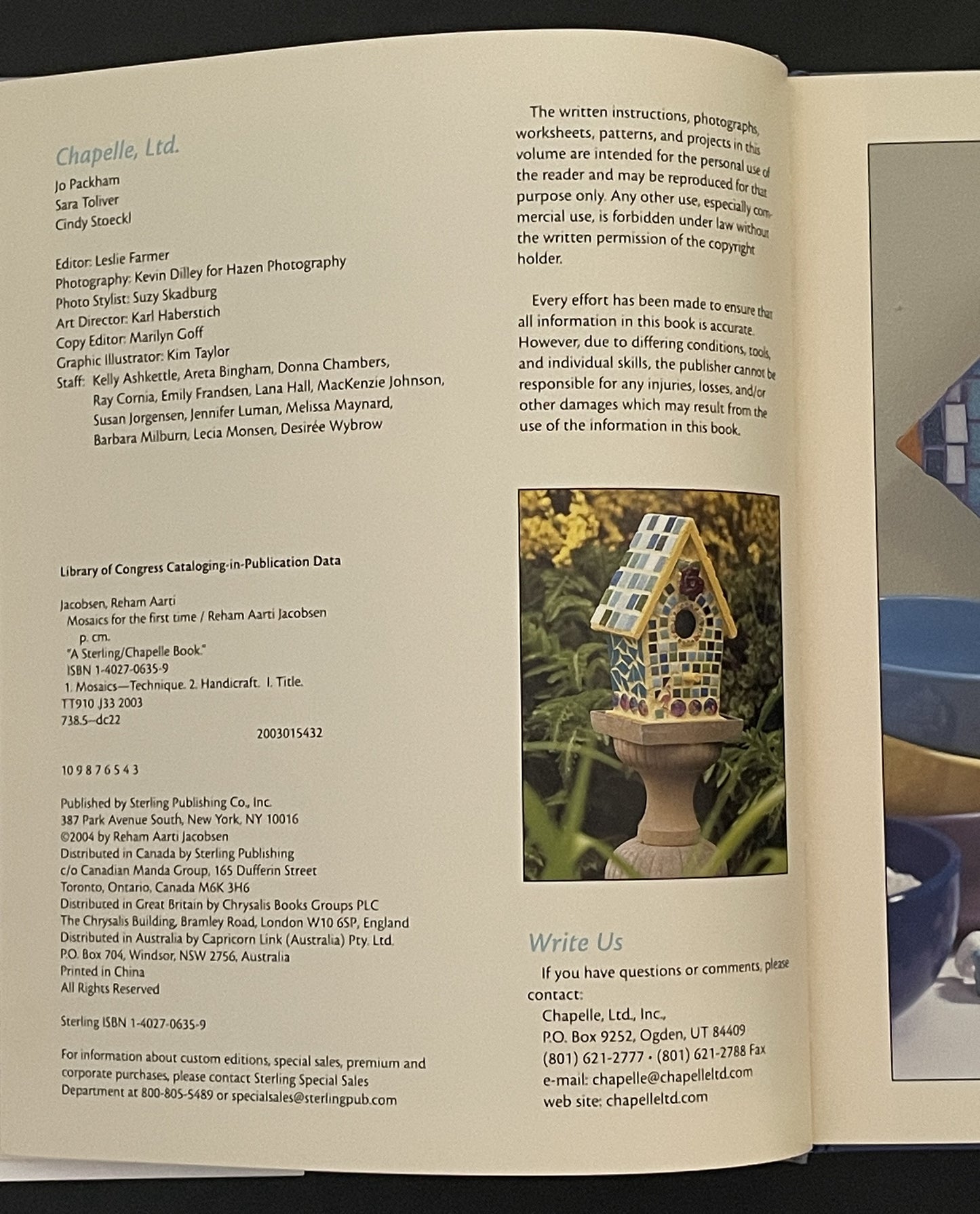 Mosaics for the First Time by Reham Aarti Jacobsen