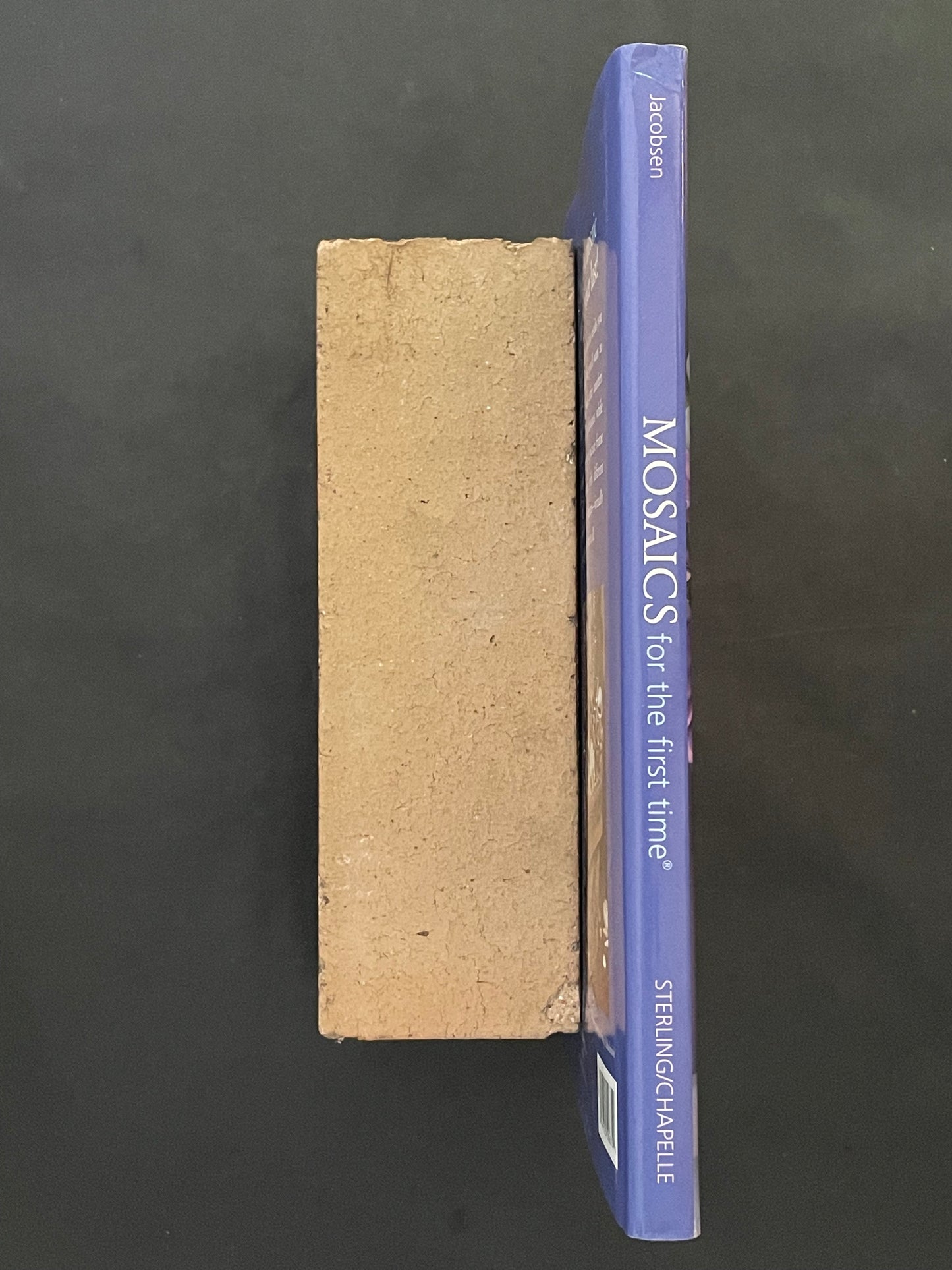 Mosaics for the First Time by Reham Aarti Jacobsen