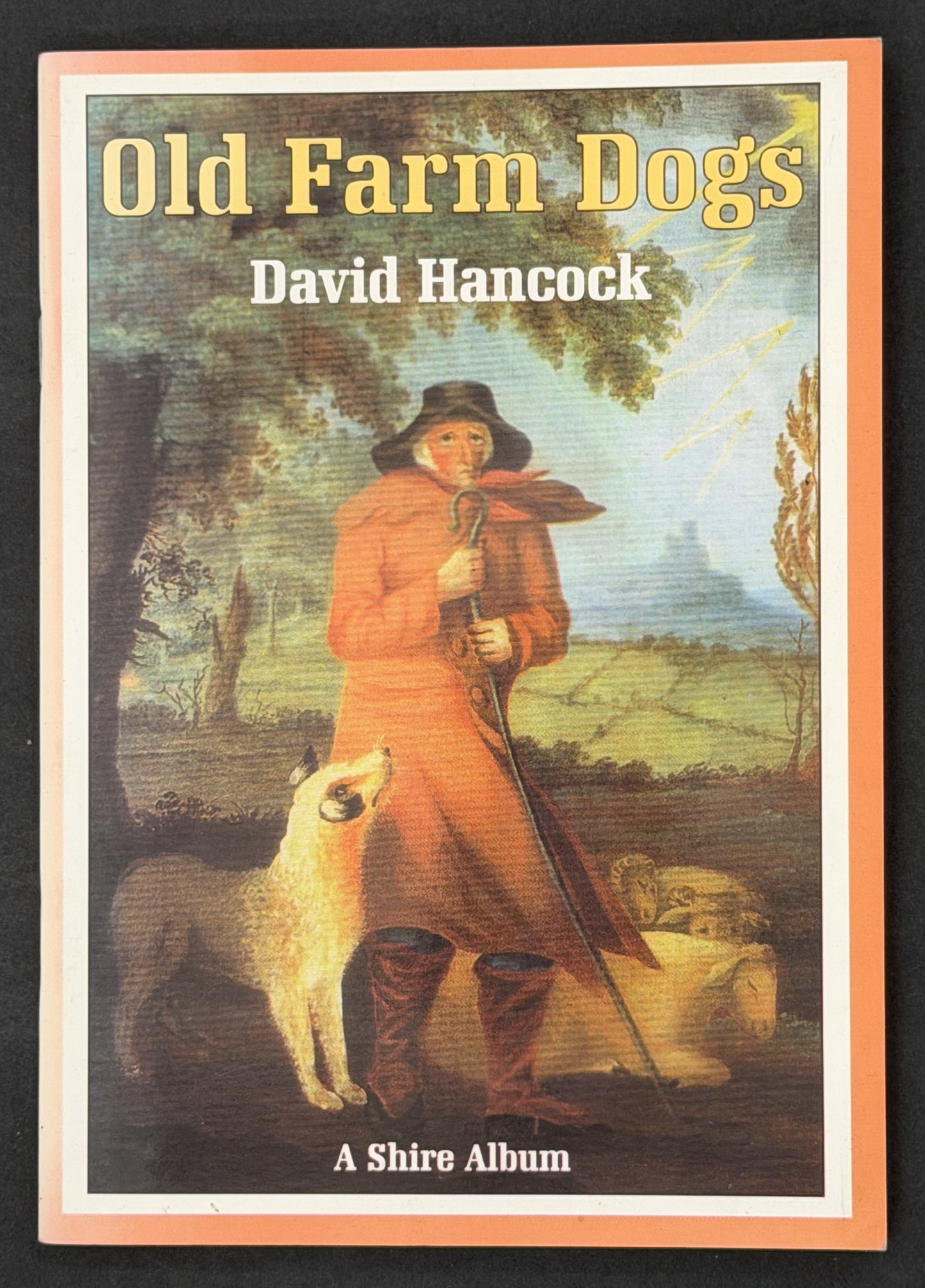 Old Farm Dogs by David Hancock