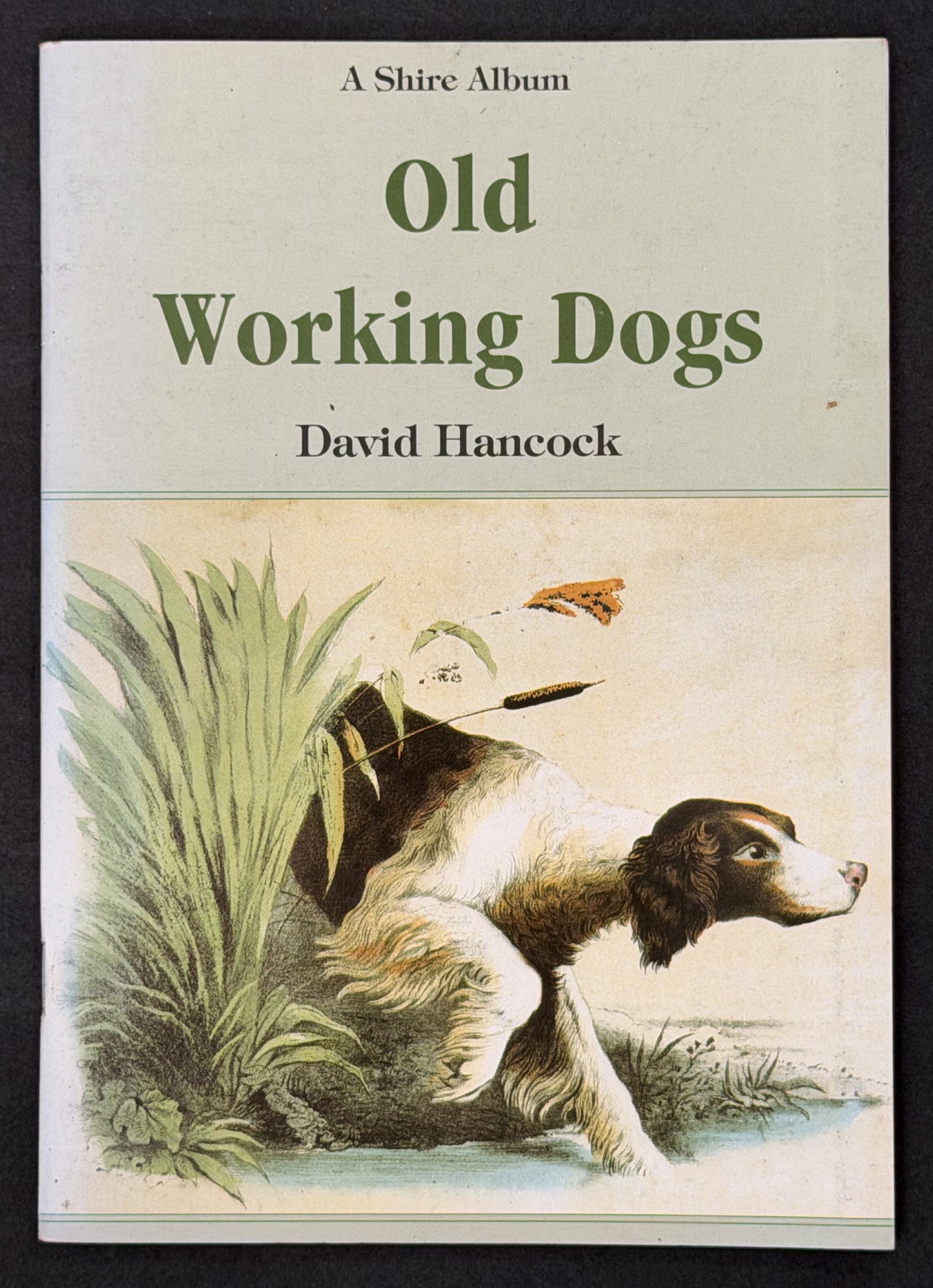 Old Working Dogs by David Hancock