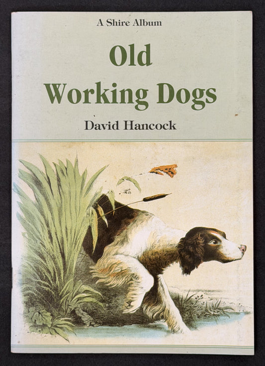 Old Working Dogs by David Hancock