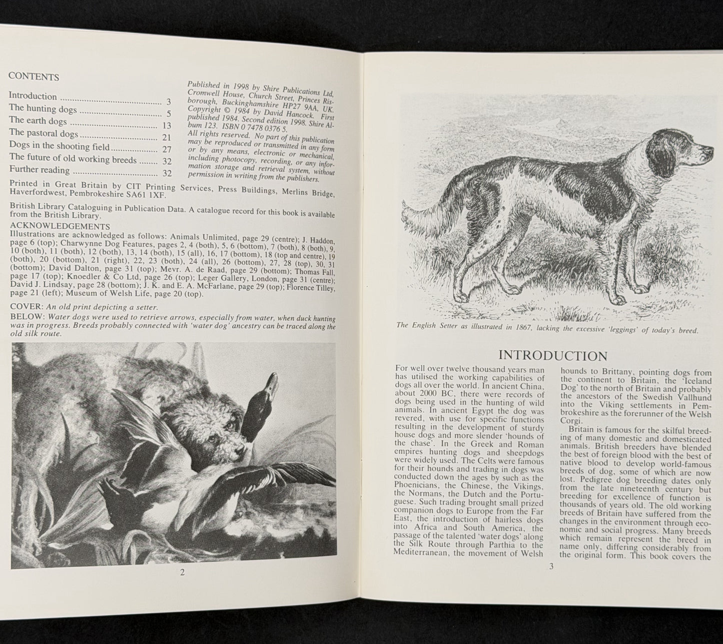 Old Working Dogs by David Hancock