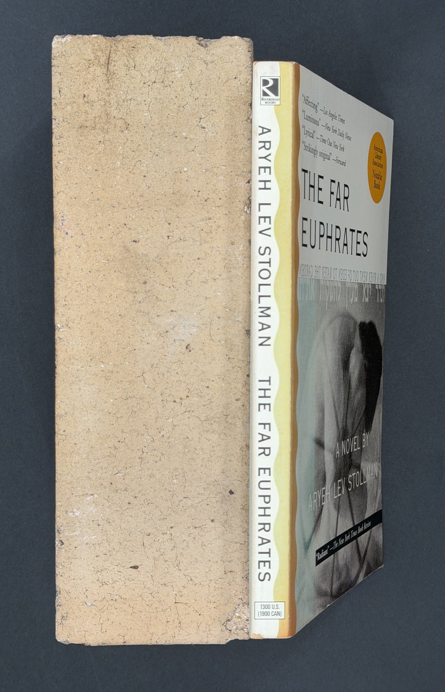 The Far Euphrates by Aryeh Lev Stollman