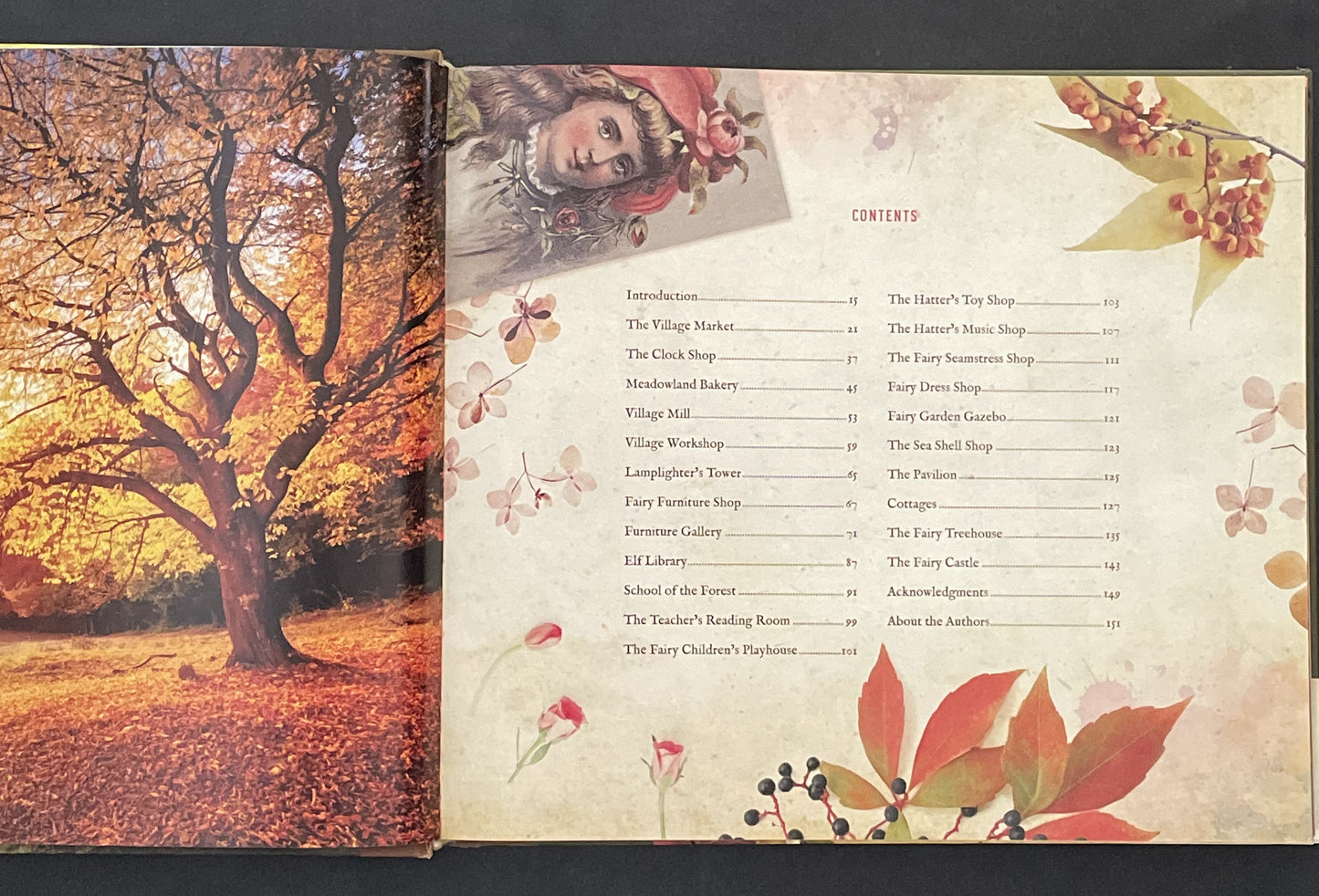 Fairy Village by Debbie Schramer, Mike Schramer