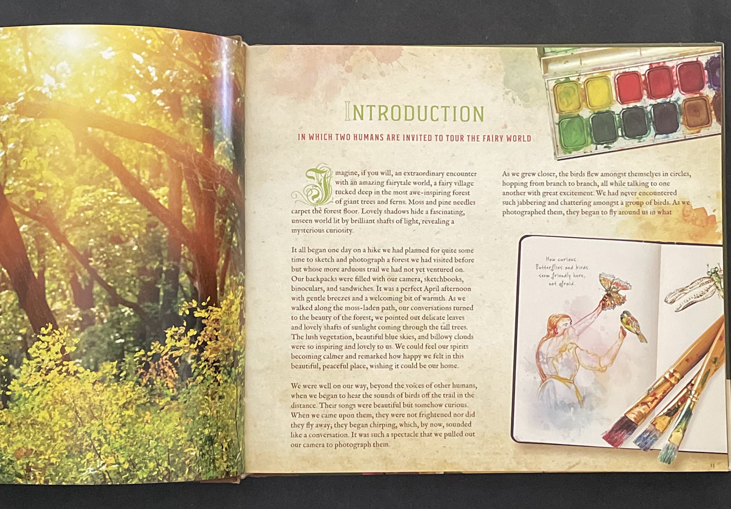 Fairy Village by Debbie Schramer, Mike Schramer