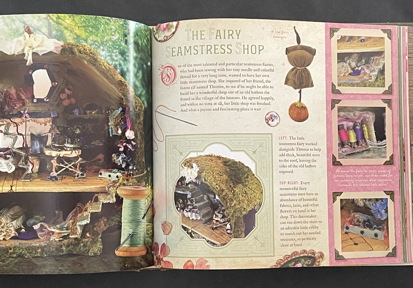 Fairy Village by Debbie Schramer, Mike Schramer
